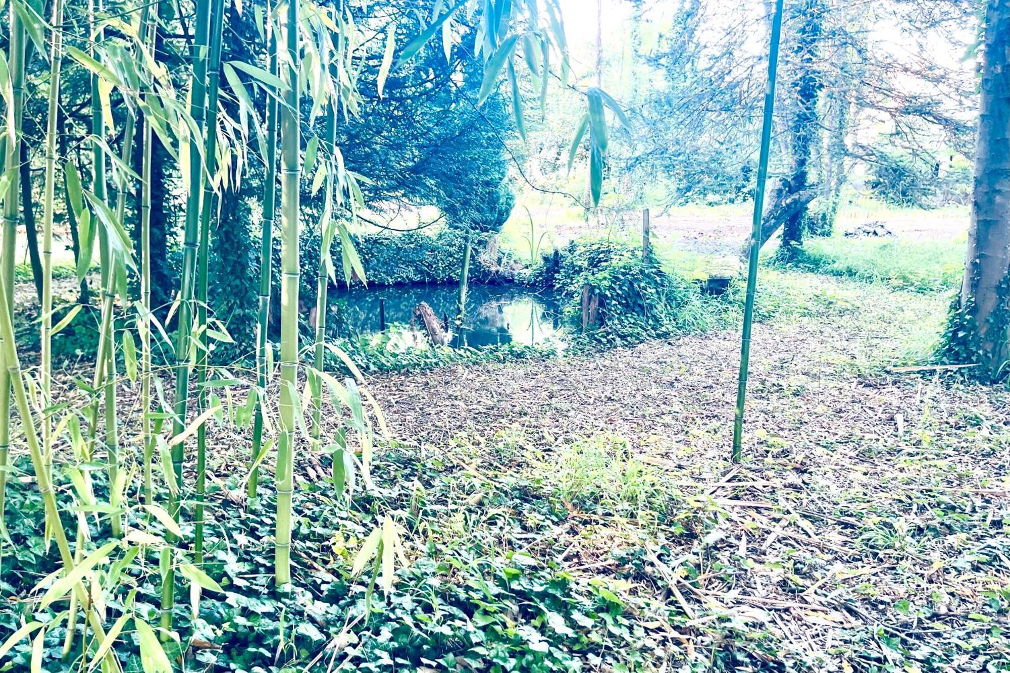 Villa Edouard - 180M2 In Nature & Forest - 20Min Disney - 7Min Airport Claye-Souilly Exterior foto