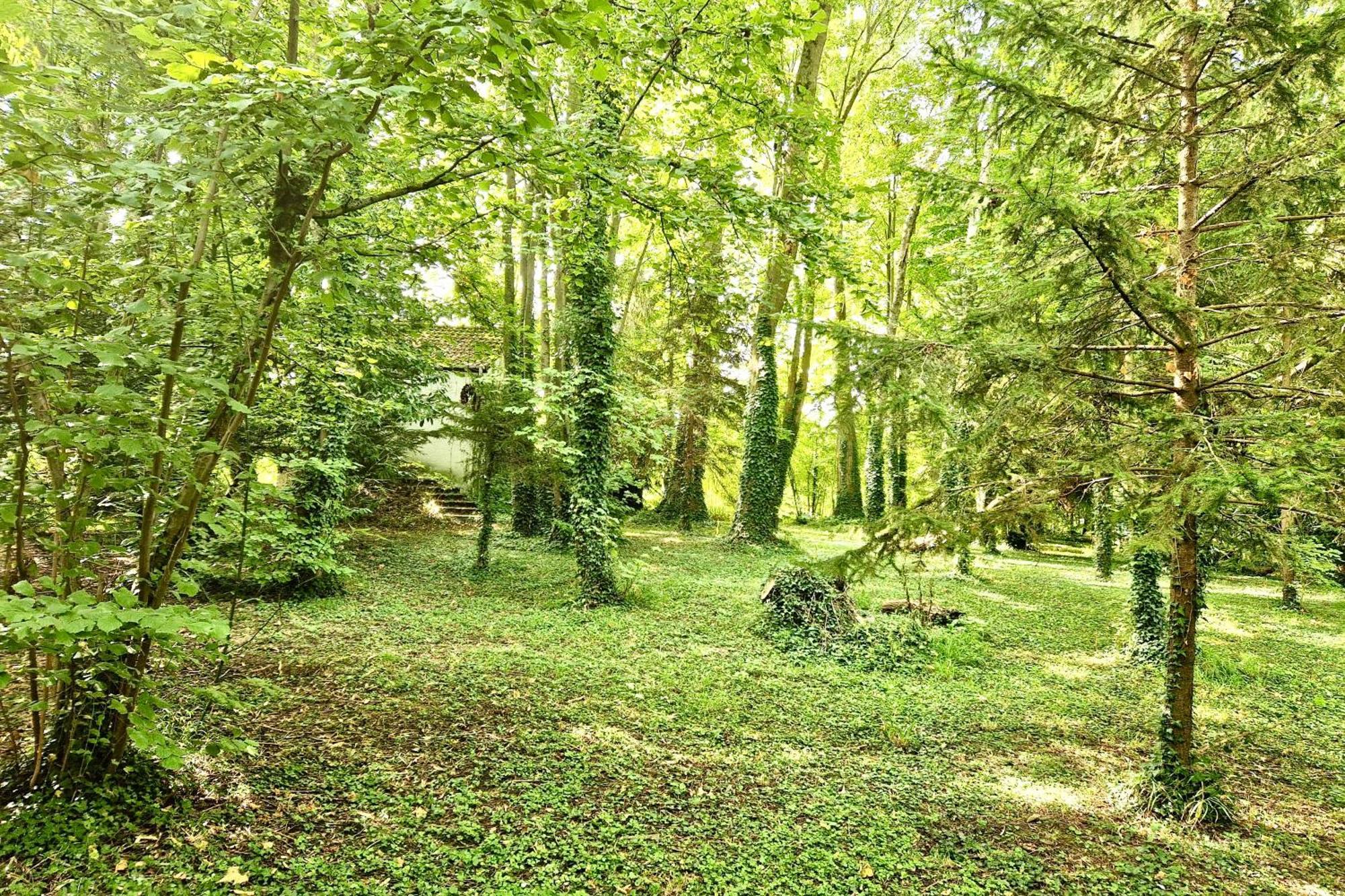 Villa Edouard - 180M2 In Nature & Forest - 20Min Disney - 7Min Airport Claye-Souilly Exterior foto